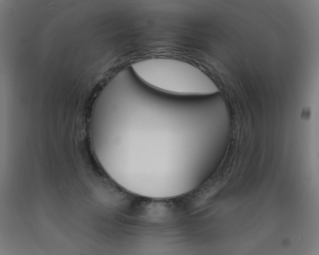 X0000093230751200709261509