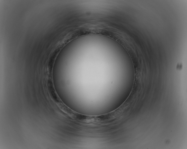 X0000093230752200709261509