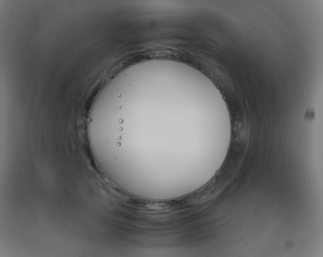 X0000093230753200709261509