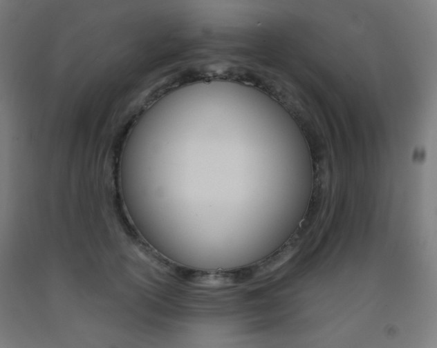 X0000093230754200709261509