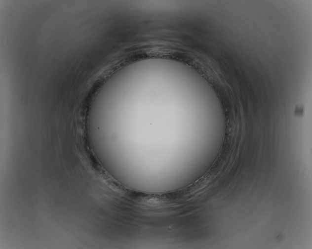 X0000093230755200709261509