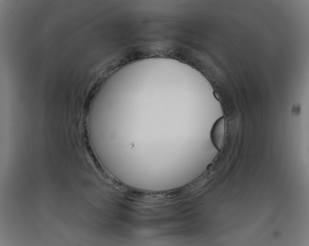 X0000093230757200709261509