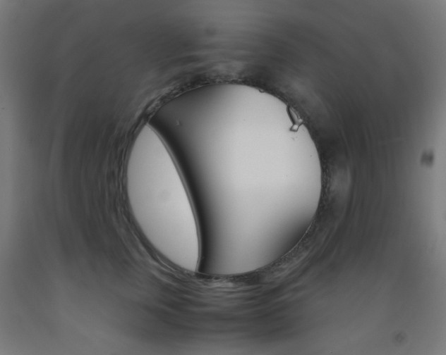 X0000093230759200709261509