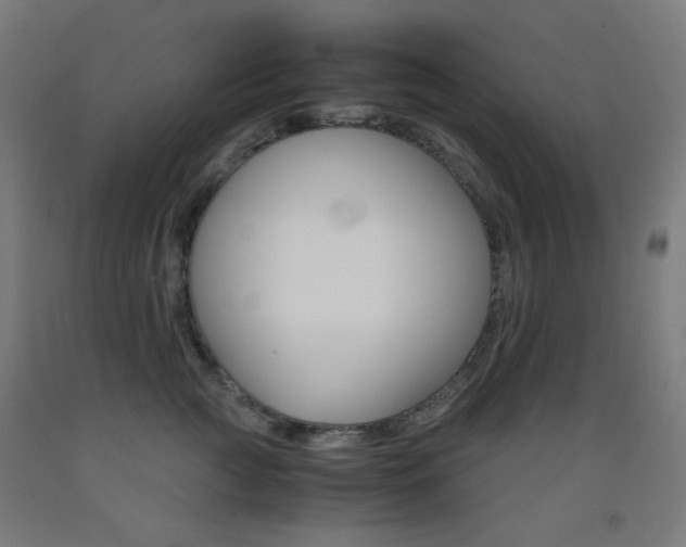 X0000093230761200709261509