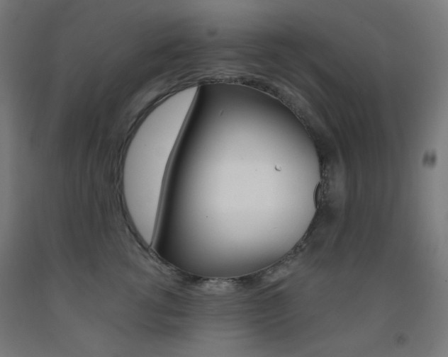 X0000093230762200709261509