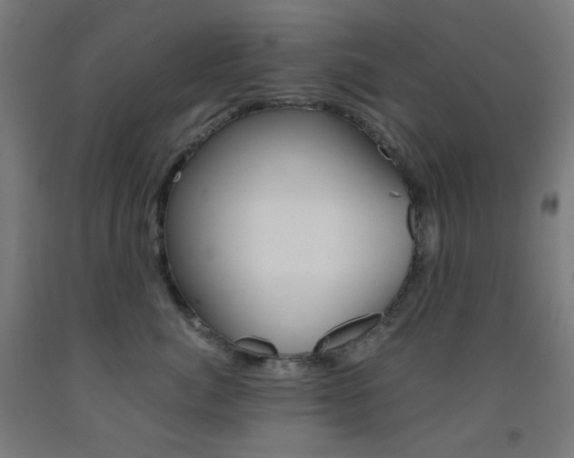 X0000093230764200709261509
