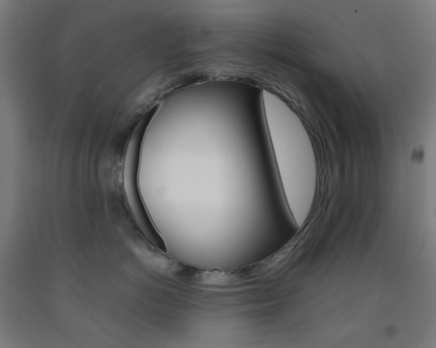X0000093230766200709261509