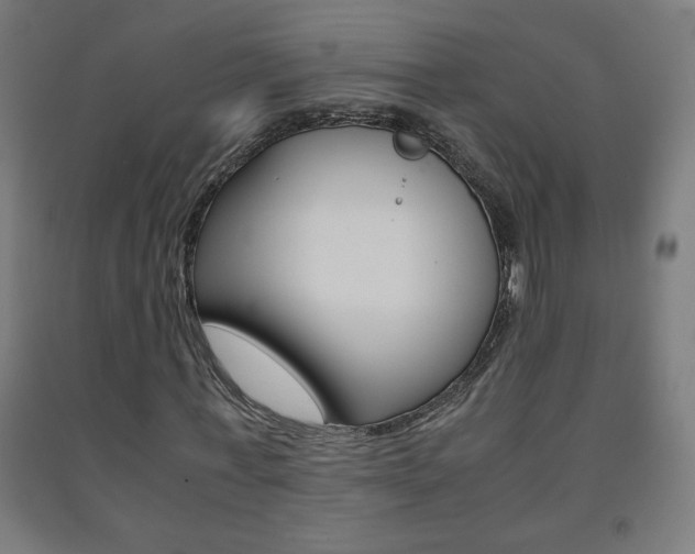 X0000093230771200709261508