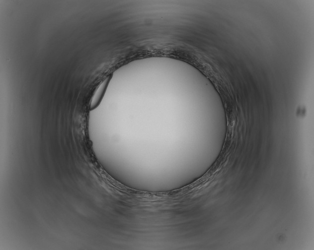 X0000093230772200709261508