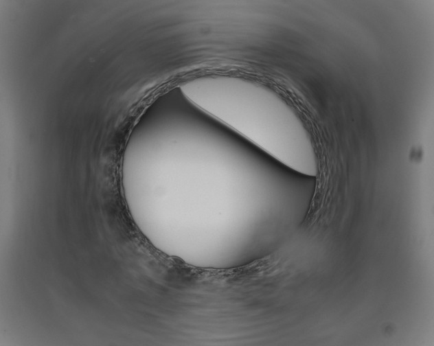 X0000093230773200709261508