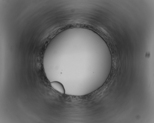 X0000093230774200709261508