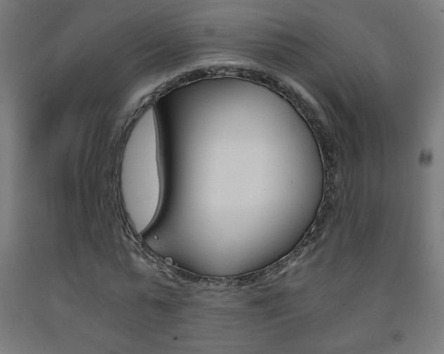 X0000093230775200709261508