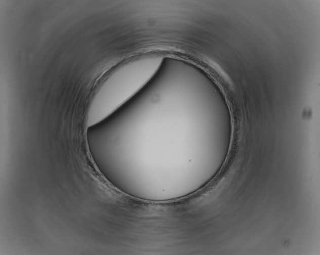 X0000093230777200709261508