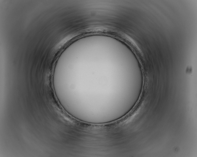 X0000093230778200709261508