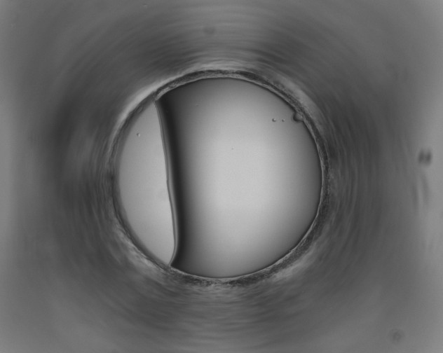 X0000093230779200709261508