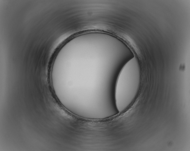 X0000093230780200709261508