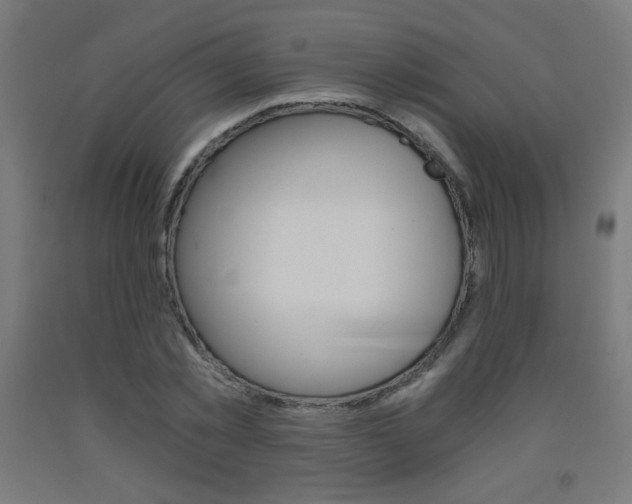 X0000093230781200709261508