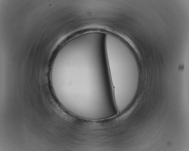 X0000093230783200709261508