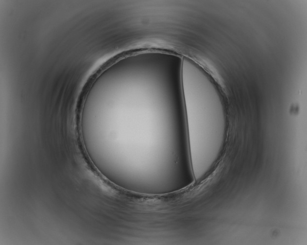 X0000093230784200709261508