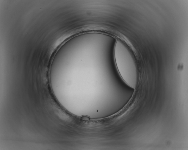 X0000093230786200709261508