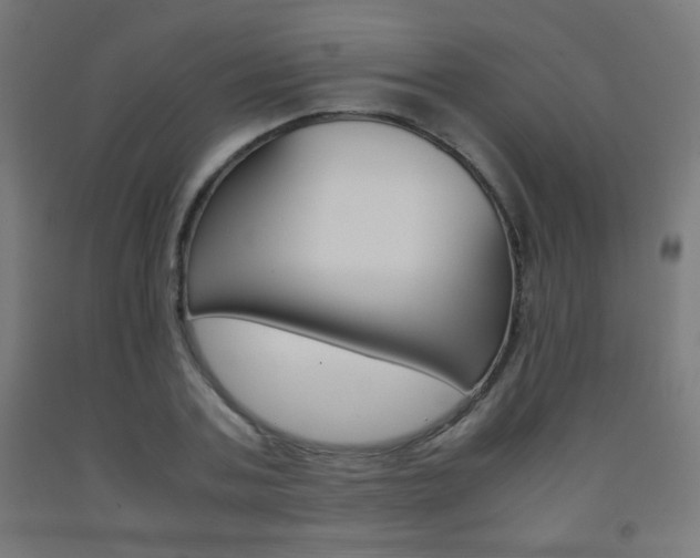 X0000093230787200709261508