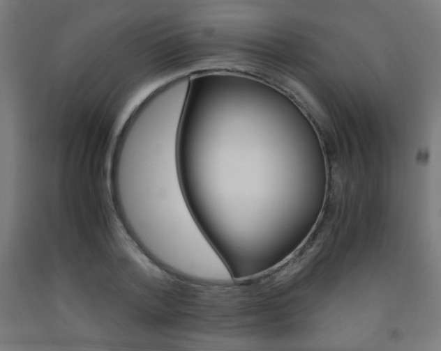 X0000093230788200709261508
