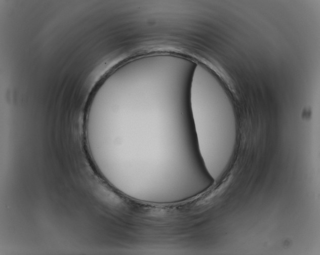 X0000093230790200709261508