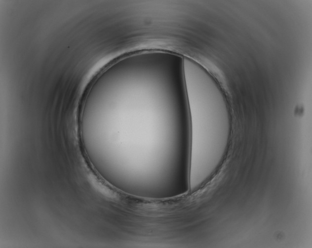 X0000093230792200709261508