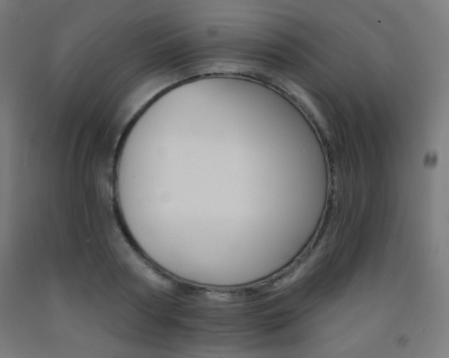 X0000093230794200709261508