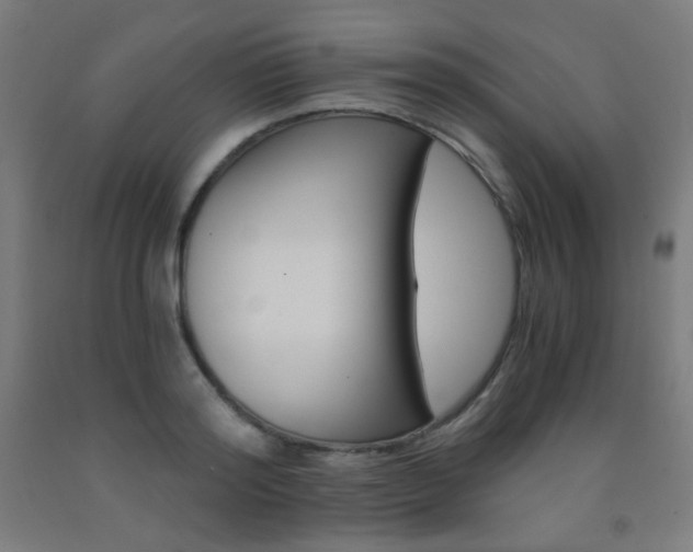 X0000093230796200709261508