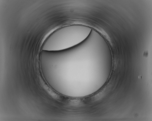 X0000093230798200709261508