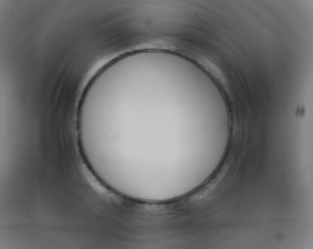 X0000093230800200709261508