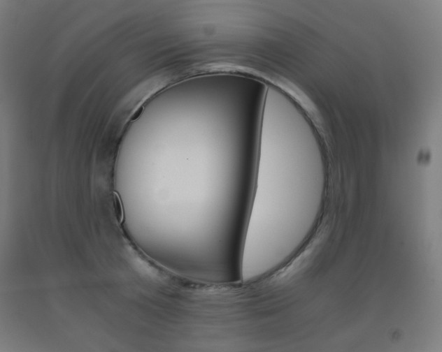 X0000093230801200709261508