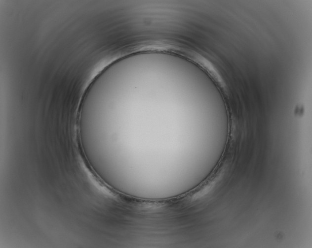 X0000093230802200709261508