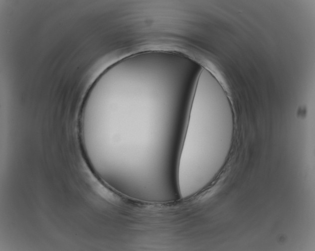 X0000093230803200709261508