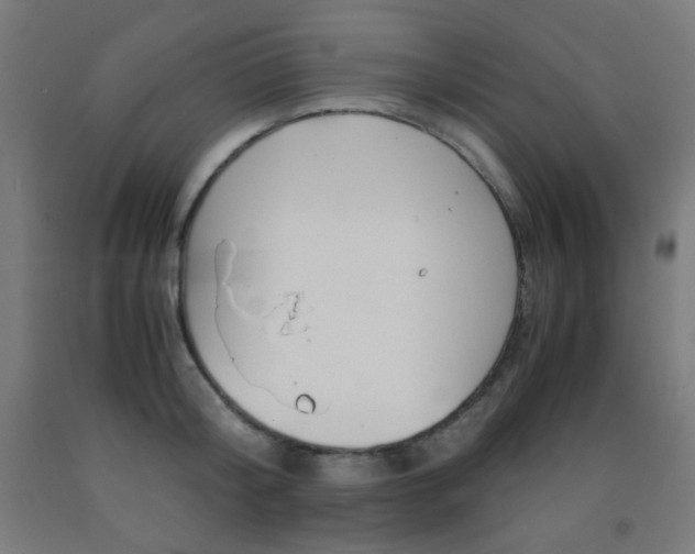 X0000093230804200709261508