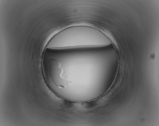 X0000093230805200709261508