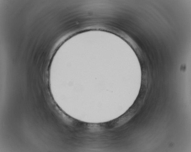 X0000093230807200709261508