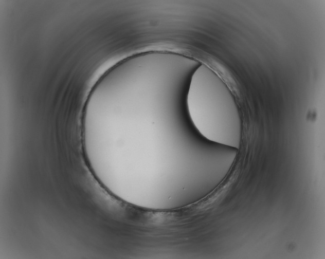X0000093230808200709261508