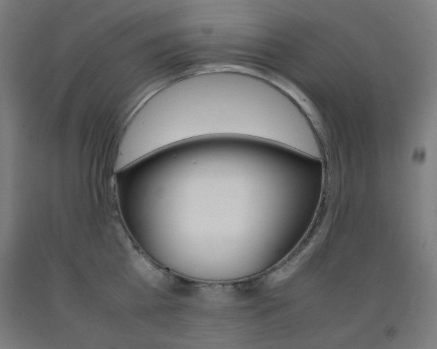 X0000093230809200709261508