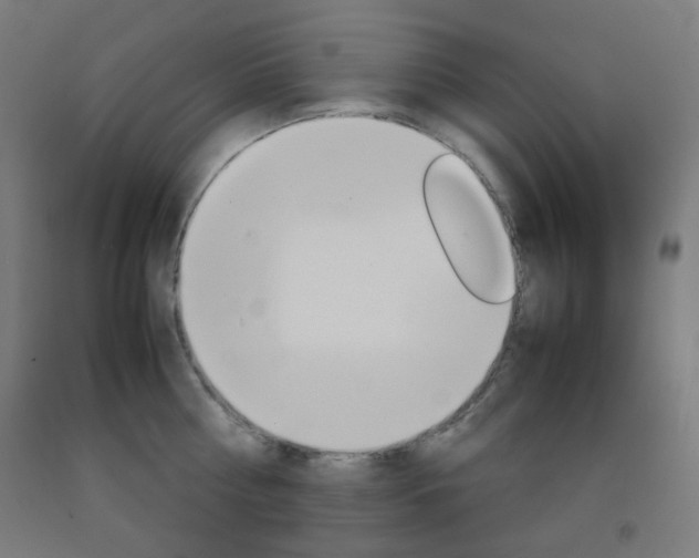 X0000093230810200709261508