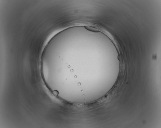 X0000093230811200709261508