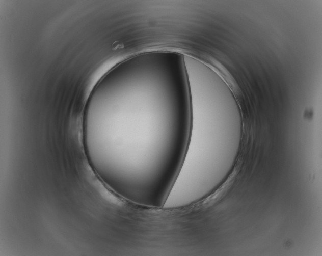 X0000093230812200709261508