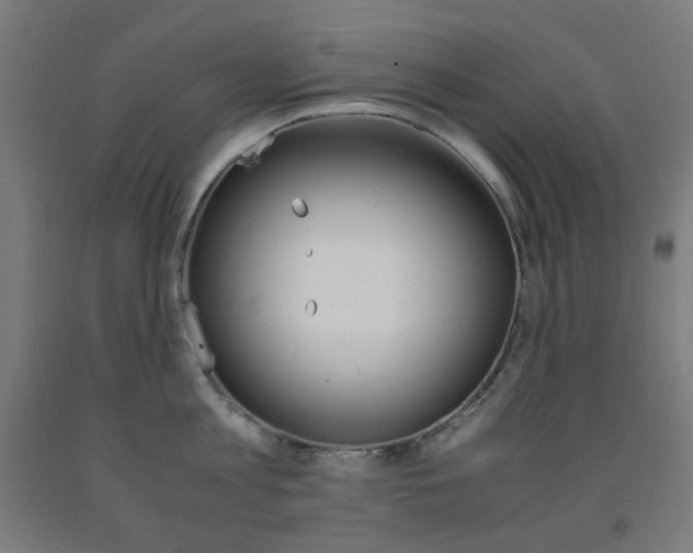 X0000093230813200709261508
