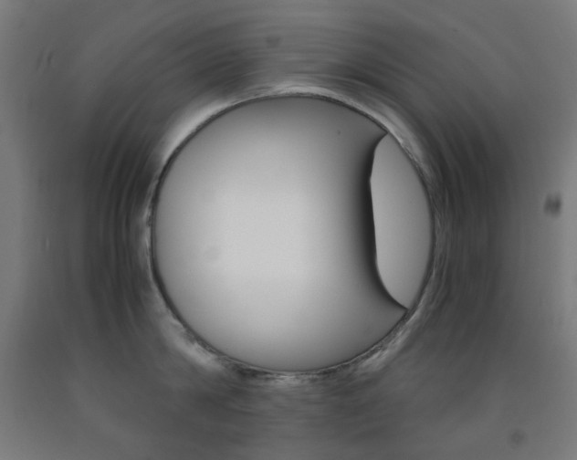 X0000093230814200709261508