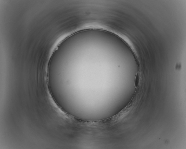 X0000093230815200709261508
