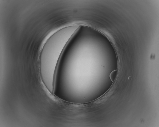 X0000093230816200709261508