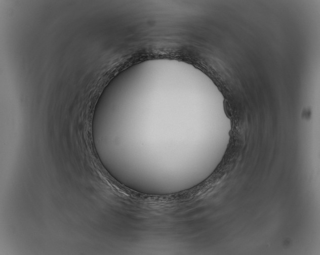 X0000093230817200709261507