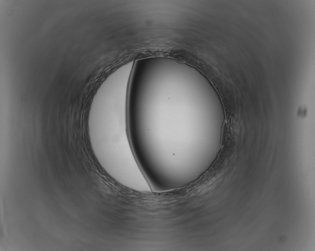 X0000093230818200709261507