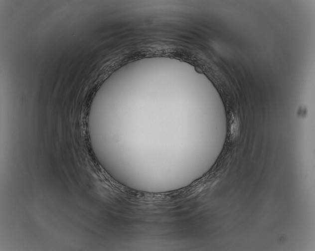 X0000093230819200709261507